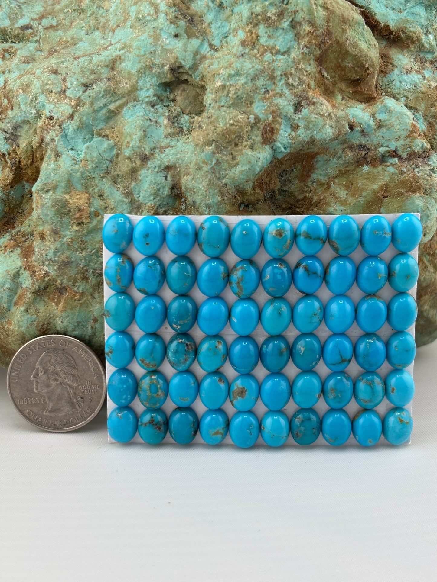 7x9 Oval Calibrated Cabs