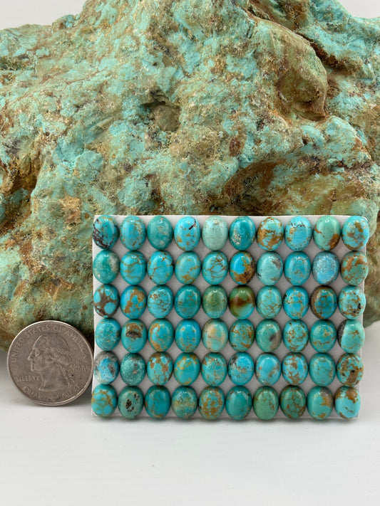 7x9 Oval Calibrated Cabs