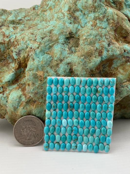 4x6 Oval calibrated Cabs