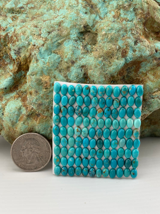 4x6 Oval Calibrated Cabs