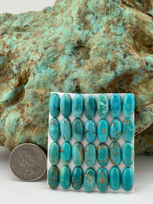 7x14 Oval Calibrated Cabs