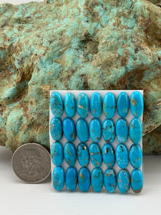 7x14 Oval calibrated Cabs