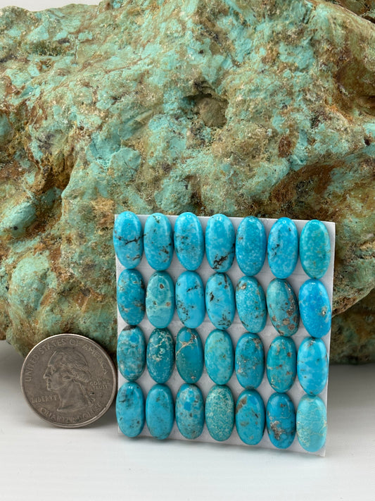 7x14 Oval calibrated Cabs