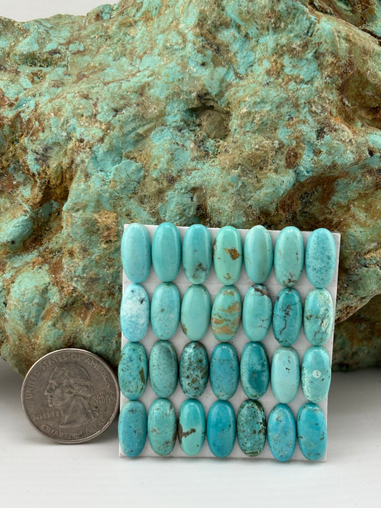 7x14 Oval Calibrated Cabs