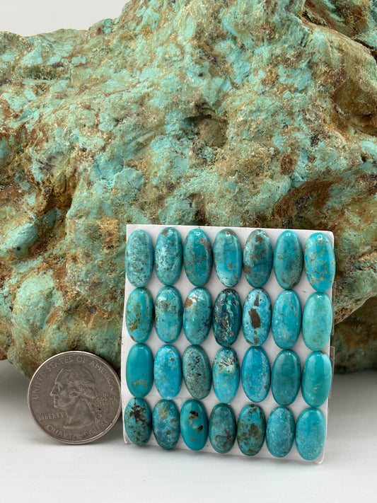 7x14 Oval Calibrated Cabs