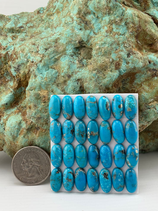 7x14 Oval calibrated Cabs