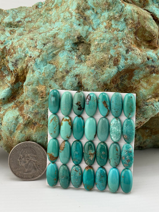 7x14 Oval Calibrated Cabs