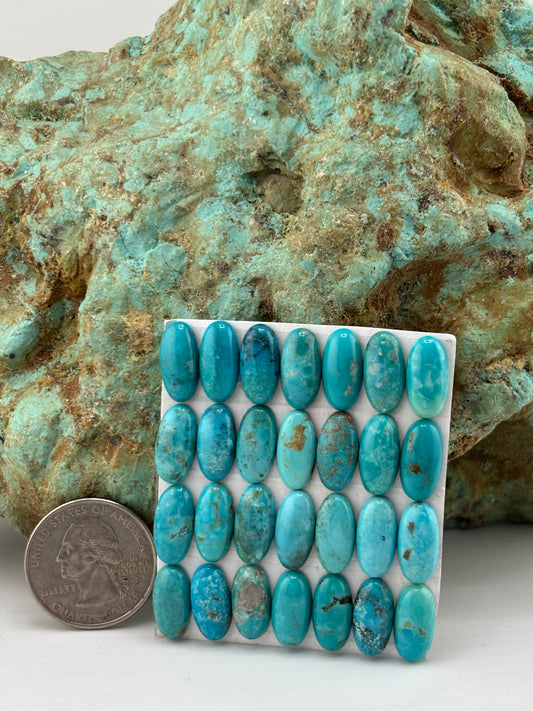 7x14 Oval Calibrated Cabs