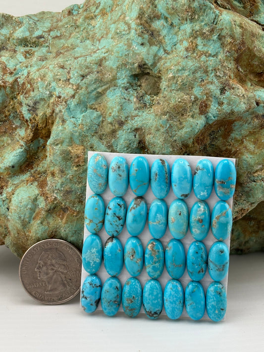 7x14 Oval Calibrated Cabs