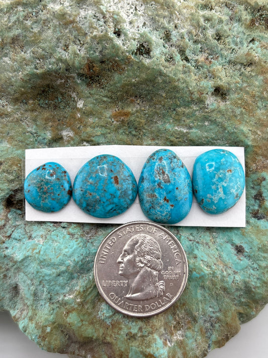 Freeform Cabochons 609