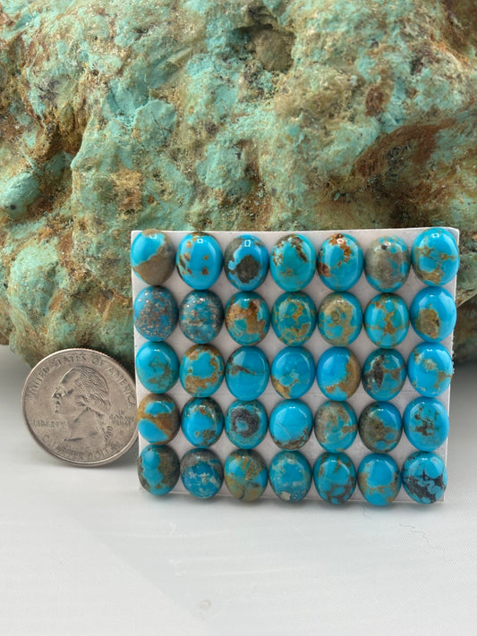 8x10 Oval Calibrated Cabs