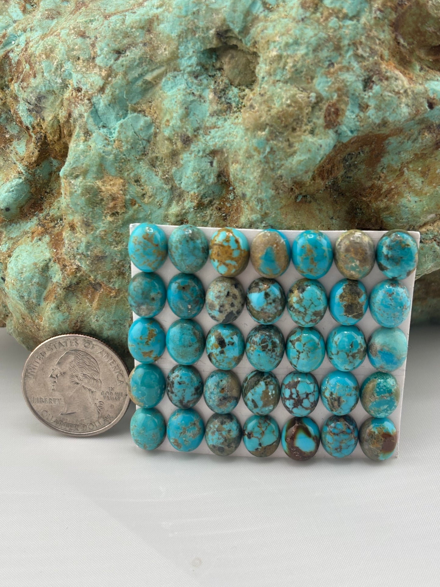 8x10 Oval Calibrated Cabs