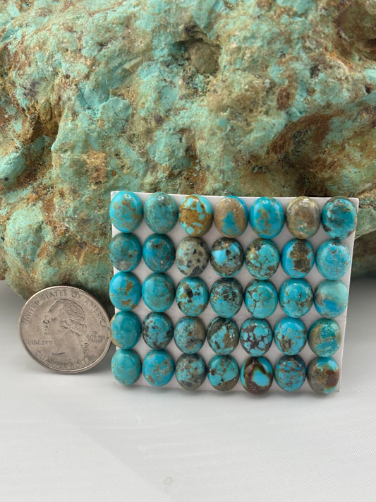 8x10 Oval Calibrated Cabs