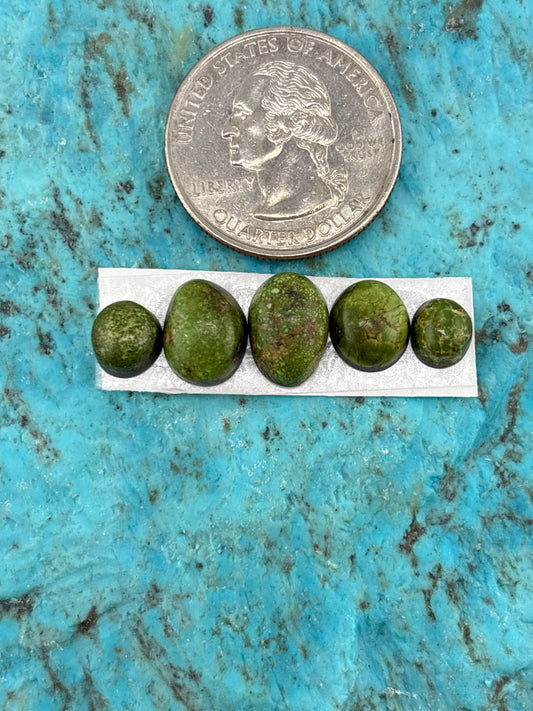 Cielo Freeform Cabochons 110