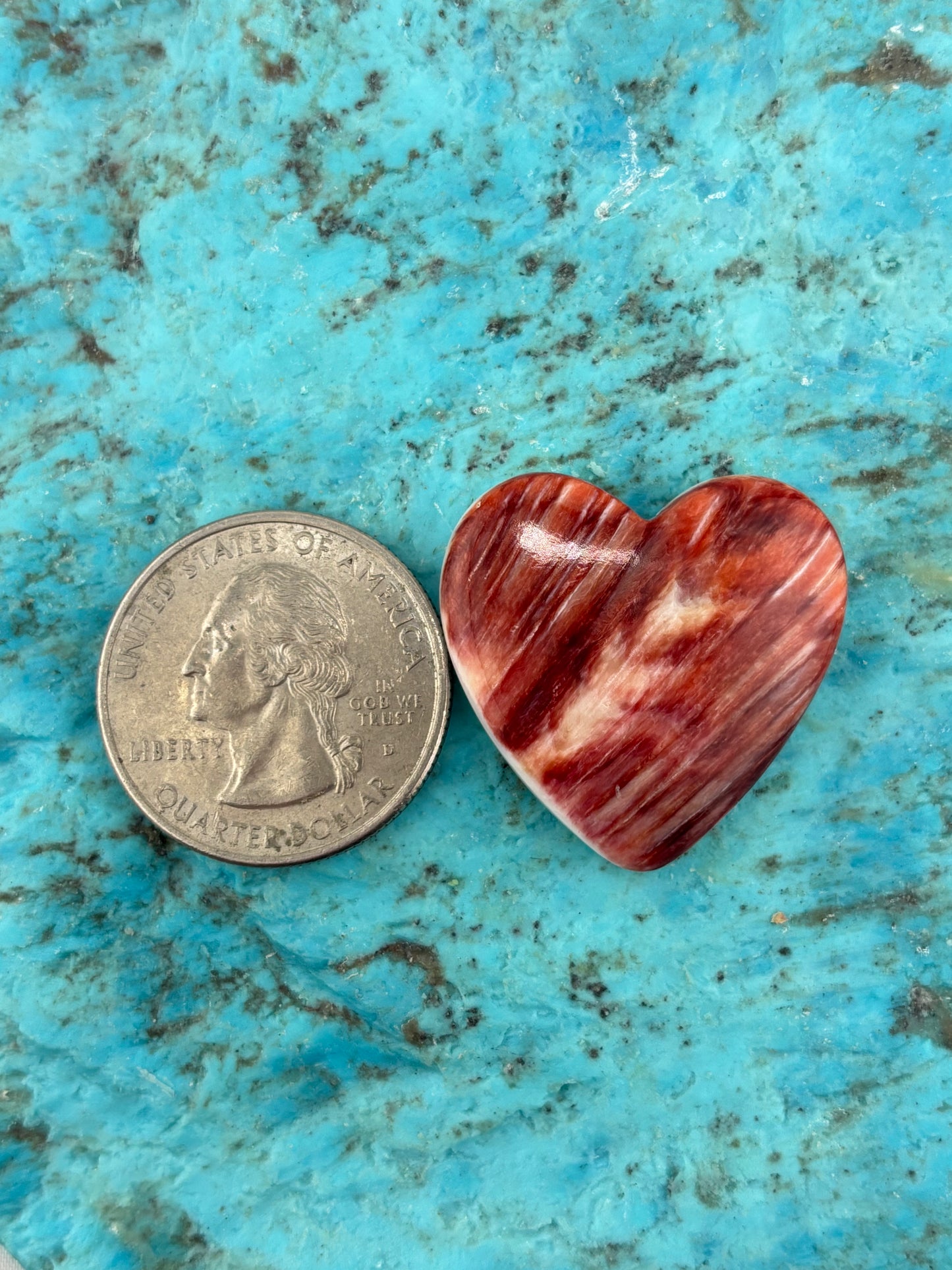 Red Spiny Heart 15