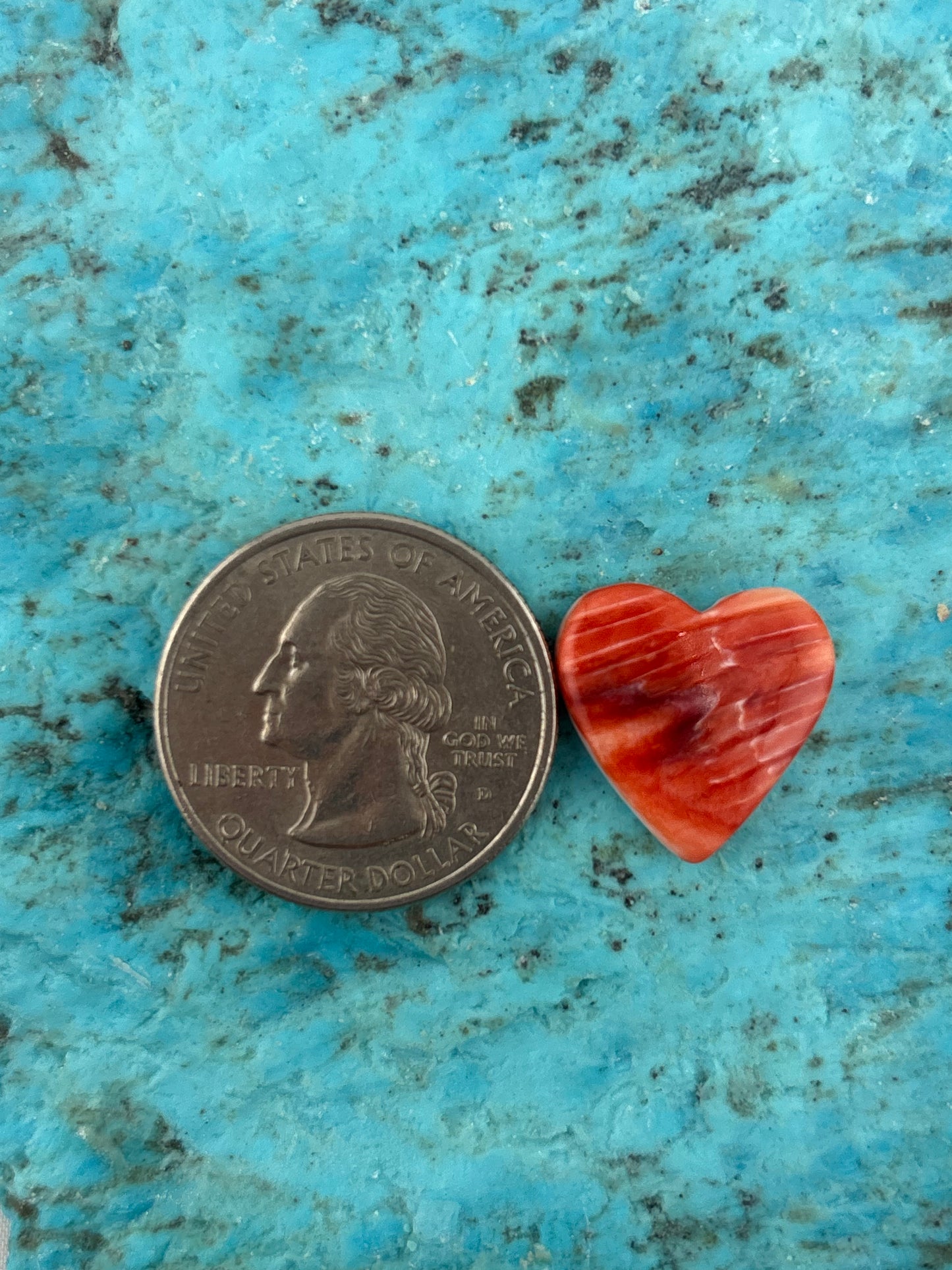 Red Spiny Heart 4