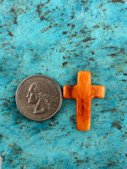 Orange Spiny Cross 5