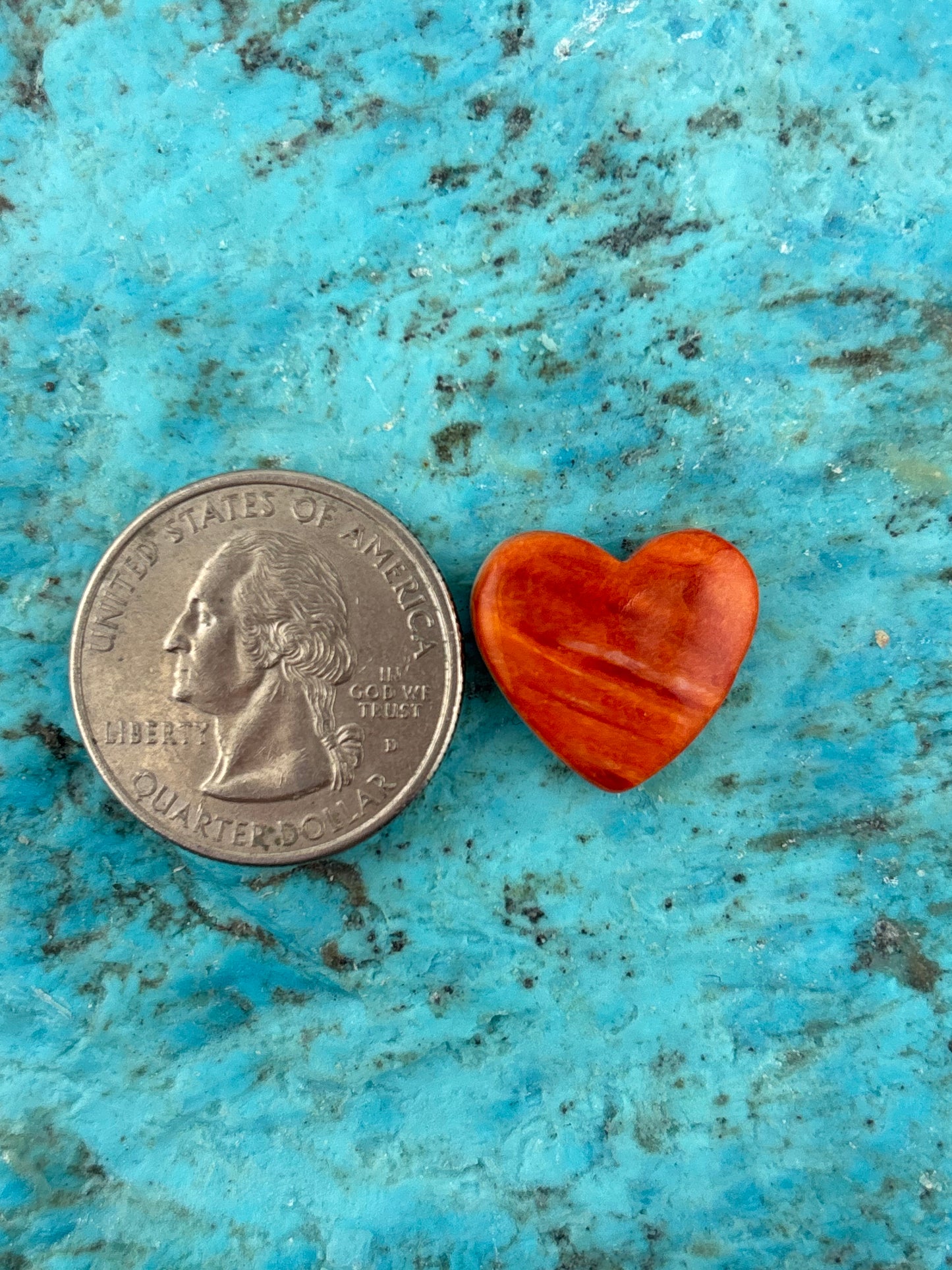 Orange Spiny Heart 1