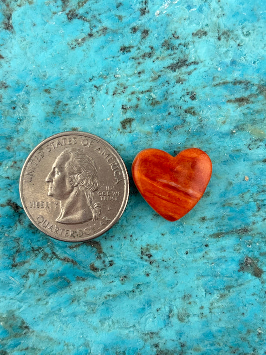 Orange Spiny Heart 1