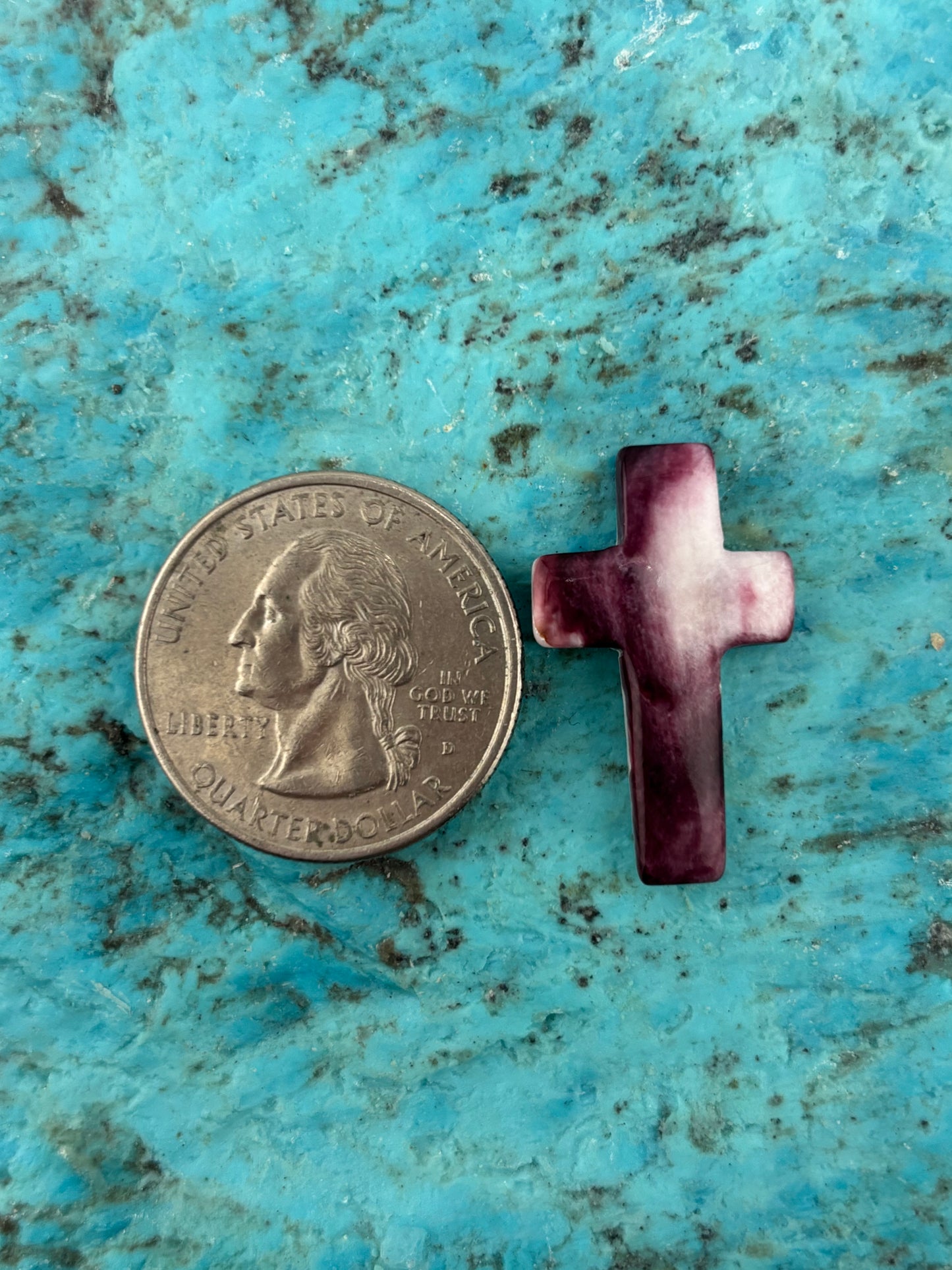 Purple Spiny Cross 2