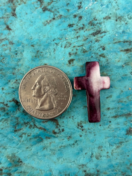 Purple Spiny Cross 2