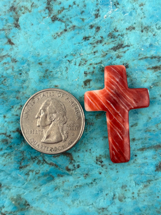 Red Spiny Cross 2