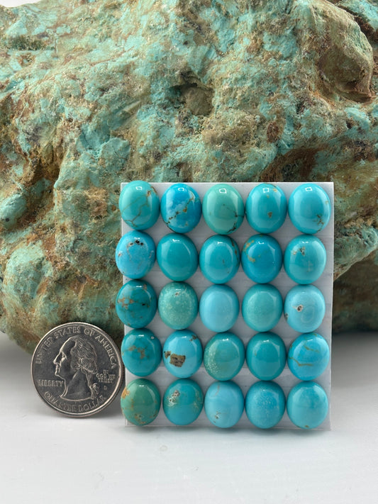 10x12 Oval Calibrated Cabs