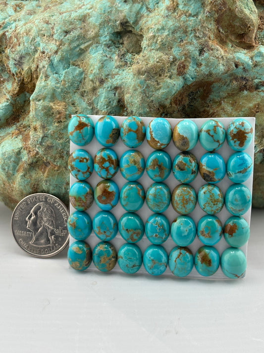 9x11 Oval Calibrated Cabs