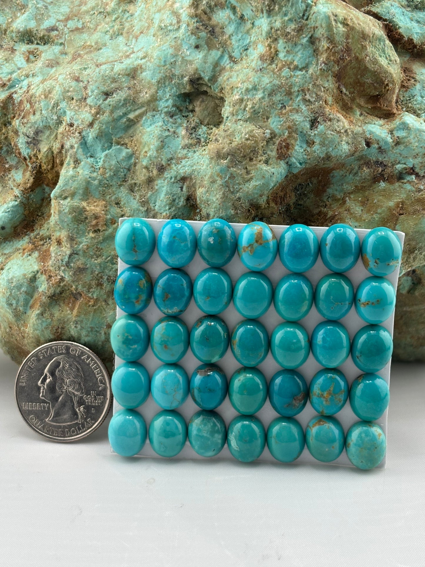 9x11 Oval Calibrated Cabs