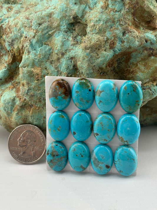 13x18 Oval Calibrated Cabs