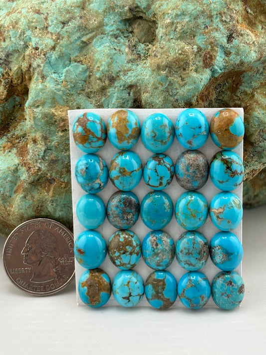 10x12 Oval Calibrated Cabs