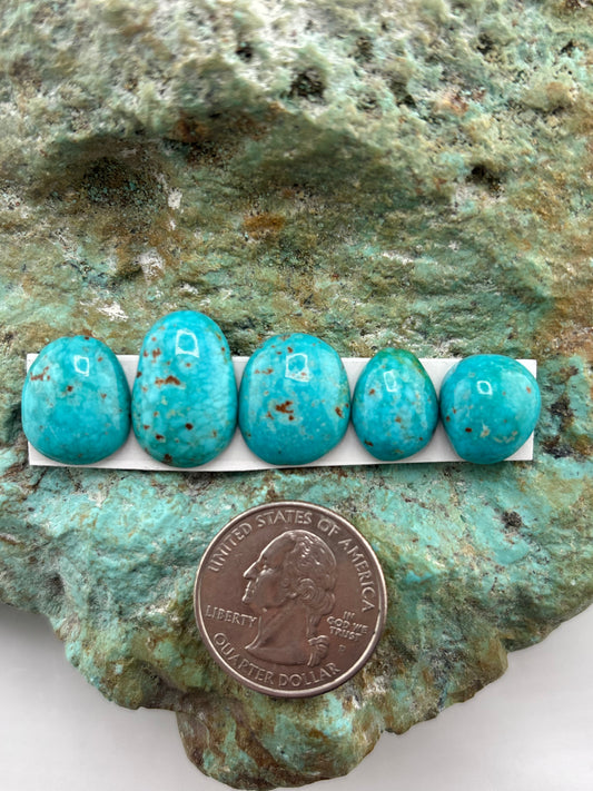 Freeform Cabochons 625