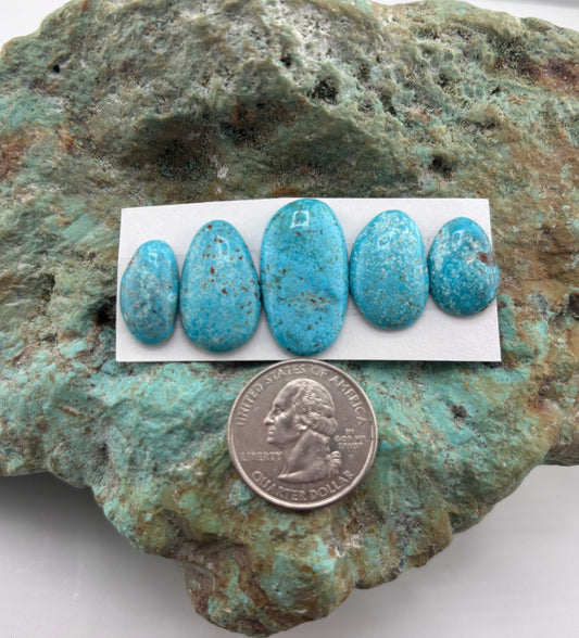 Freeform Cabochons 647