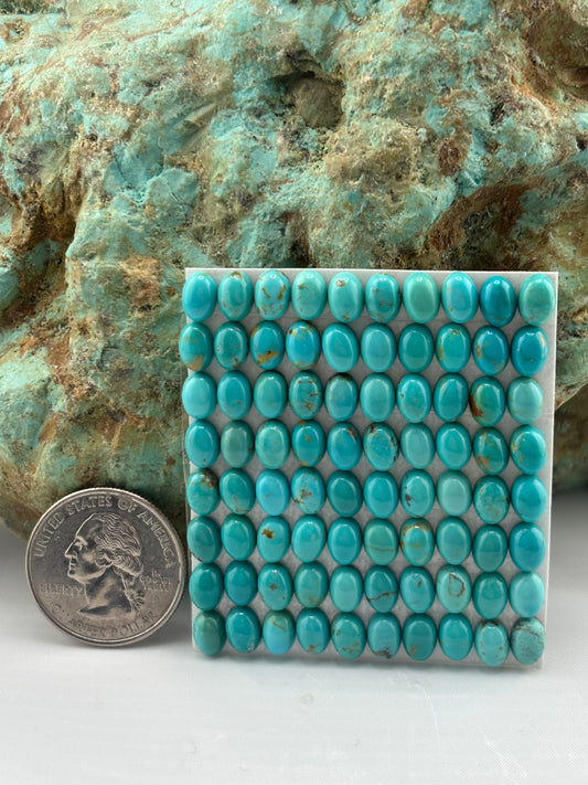 5x7 Oval Calibrated Cabs