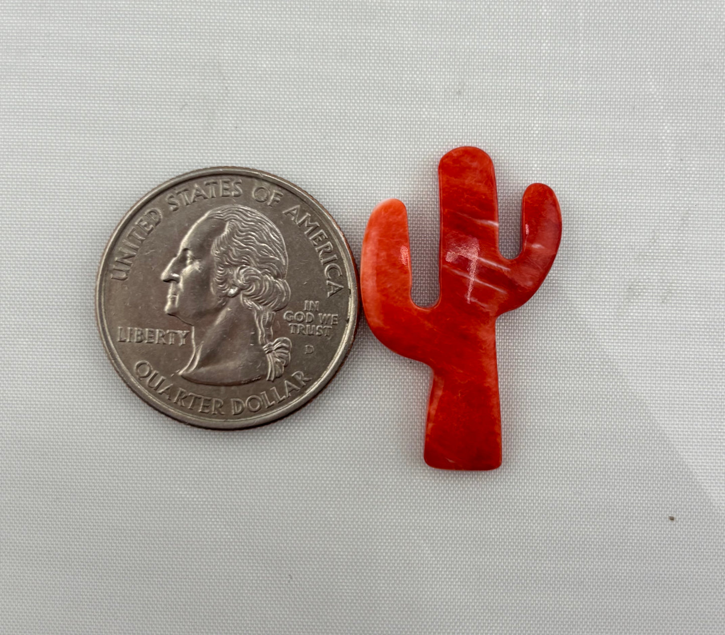 Red Spiny Cactus 3