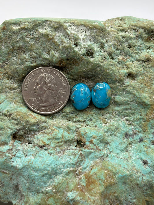 Earring Set 182