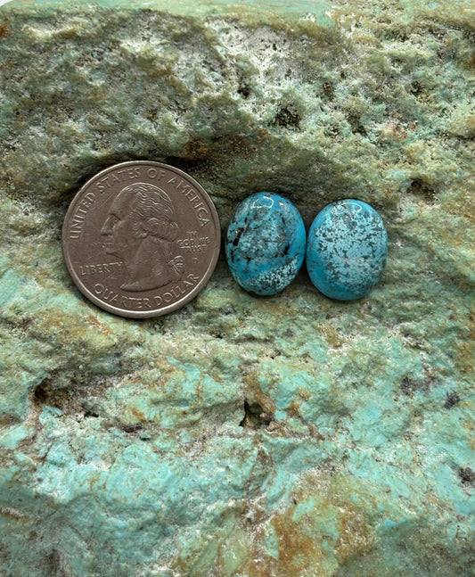 Earring set 190