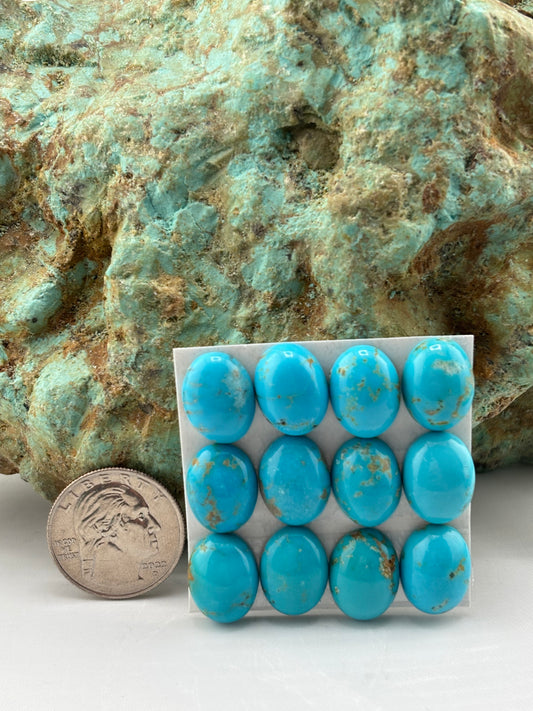 12x16 Oval Calibrated Cabs