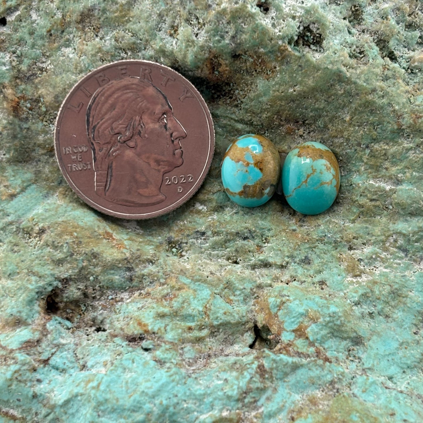 Earring Set 170