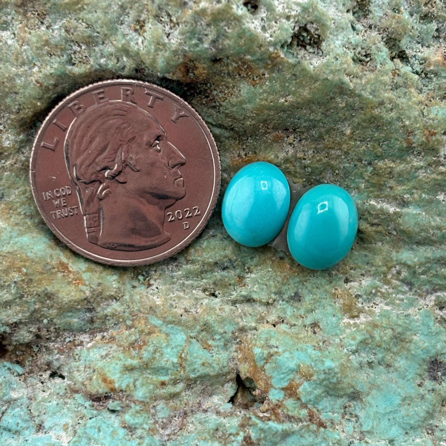 Earring Set 173