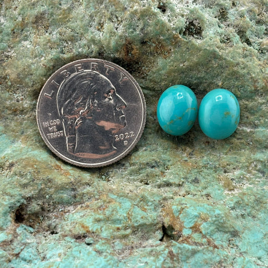 Earring Set 188