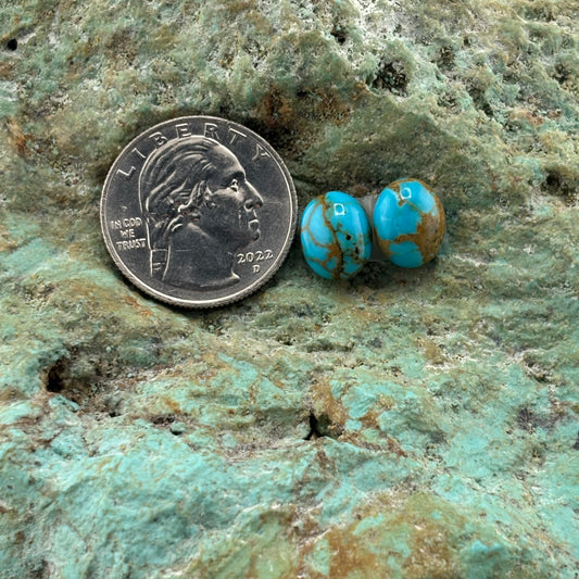 Earring Set 191