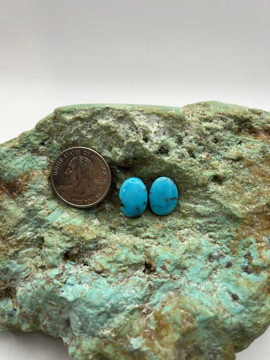 Earring Set 37