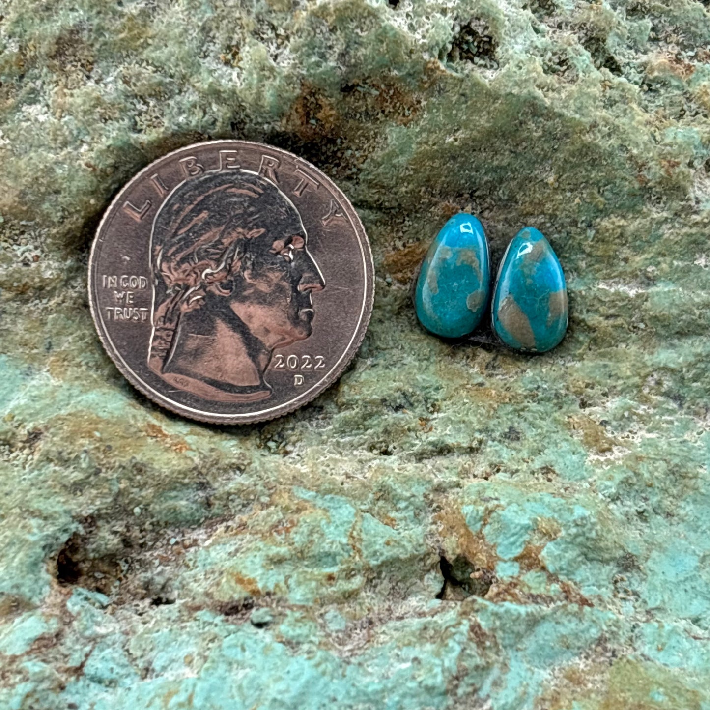 Earring Set 223