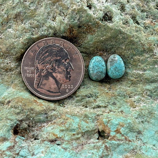 Earring Set 224