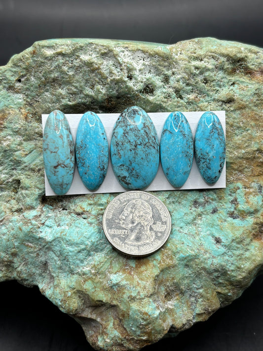 Freeform Cabochons 221