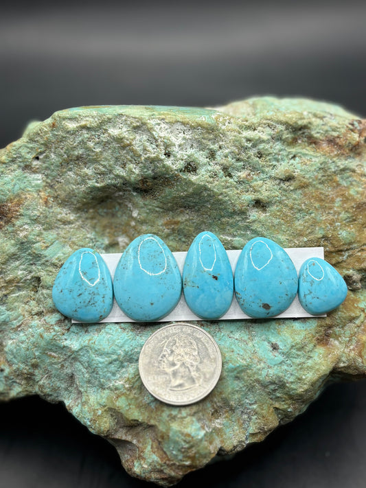 Freeform Cabochons 229