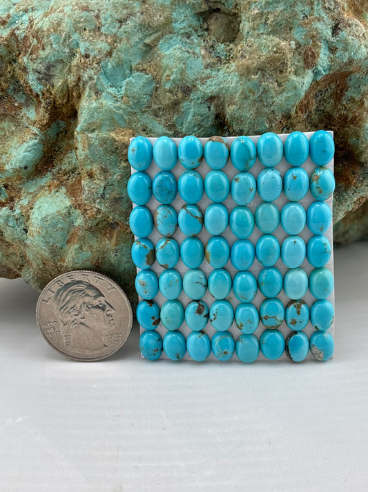 6x8 Oval Calibrated Cabs