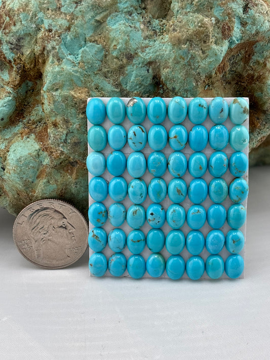 6x8 Oval Calibrated Cabs