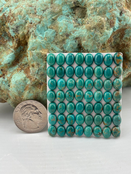 6x8 Oval Calibrated Cabs